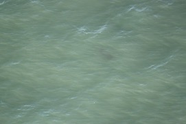 Missing Picture